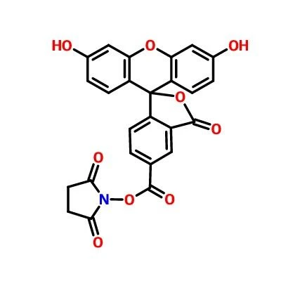 CAS:92557-80-7|5-FAM N-sukcinimidil ester