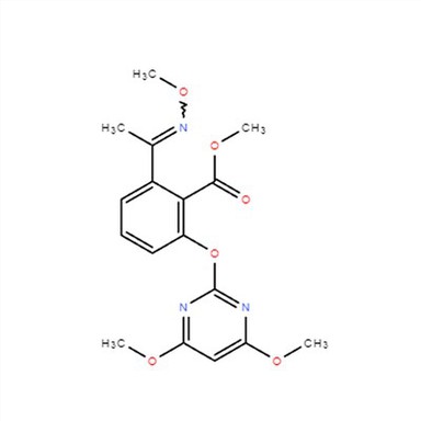 CAS 147411-69-6|(E)-PIRIMINOBAK-METIL