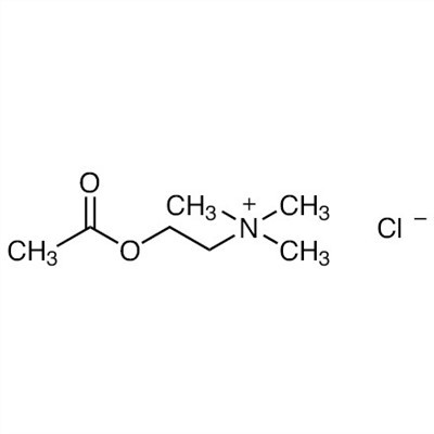 CAS:60-31-1|Acetilkolin klorid