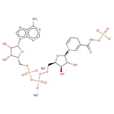 CAS:606-68-8|Beta-nikotinamid adenin dinukleotid, dinatrijeva sol