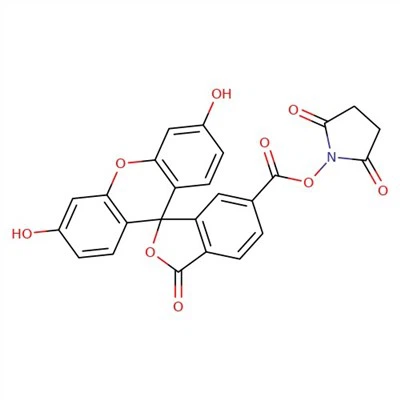 CAS:92557-81-8|6-Ester karboksifluorescein-N-hidroksisukcinimida