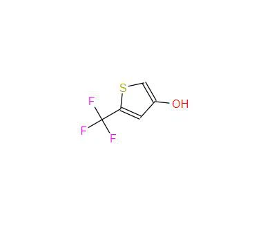 CAS:217959-45-0丨5-TRIFLUORMETHYLTIOPHENE-3-ONE